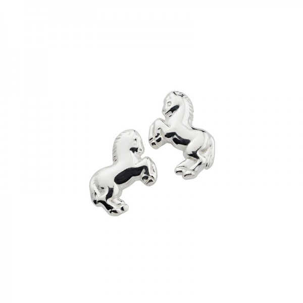 Ohrstecker,Silber 925